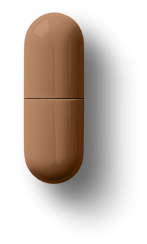 Layer 1 Image