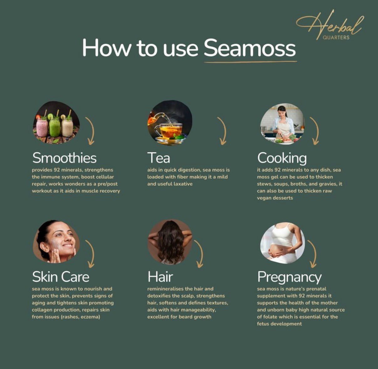 Cinnamon & Date Infused Seamoss Gel - Mental Clarity - Image 6