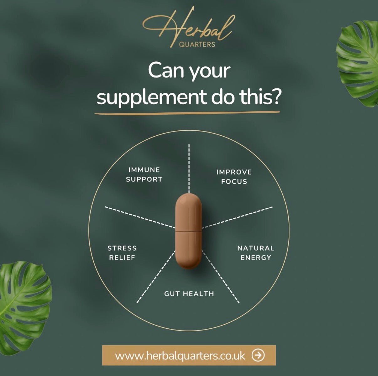 Lions Mane: Blend Of 7 Adaptogenic Mushrooms (60 Capsules) - Image 12