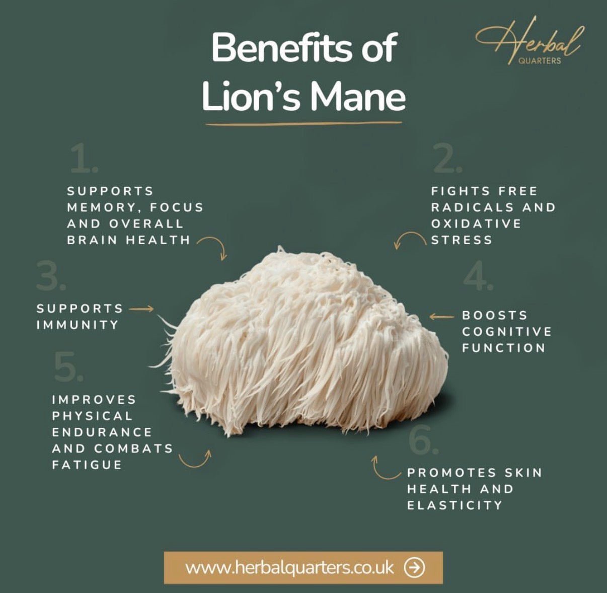 Lions Mane: Blend Of 7 Adaptogenic Mushrooms (60 Capsules) - Image 5