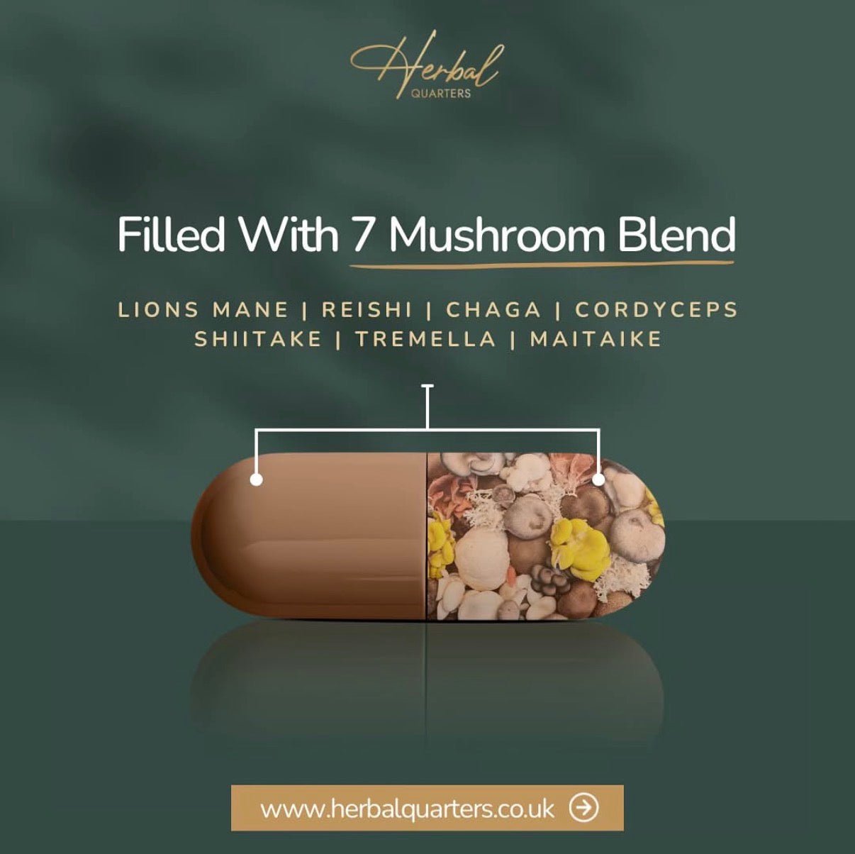 Lions Mane: Blend Of 7 Adaptogenic Mushrooms (60 Capsules) - Image 11