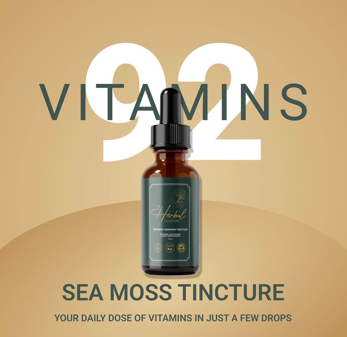 Seamoss Tincture - Spearmint - Image 5