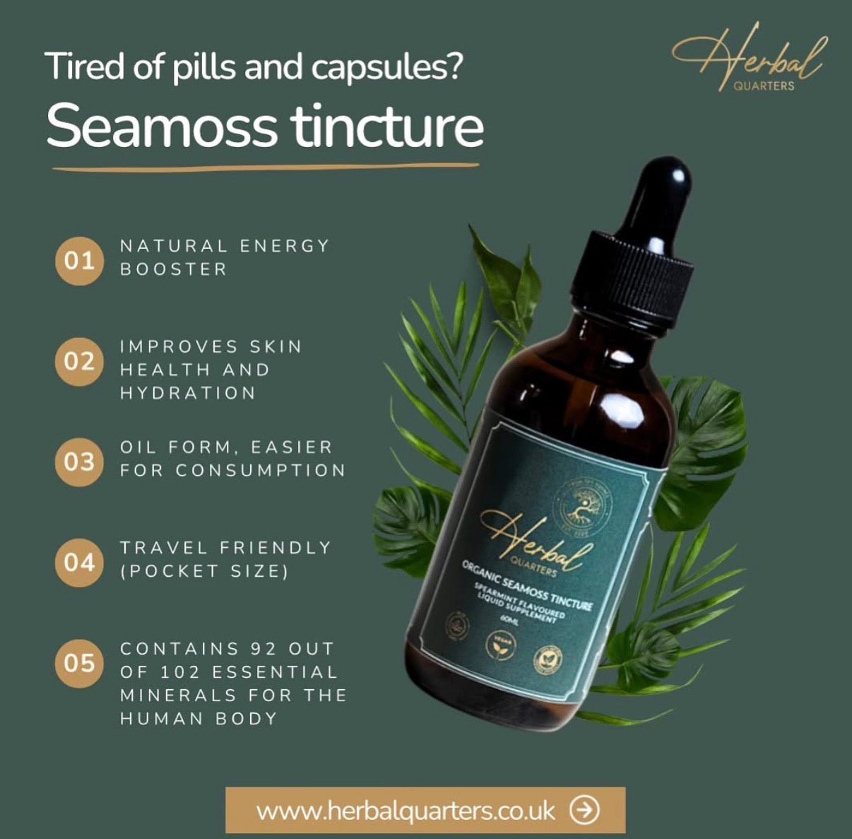 Seamoss Tincture - Spearmint - Image 10