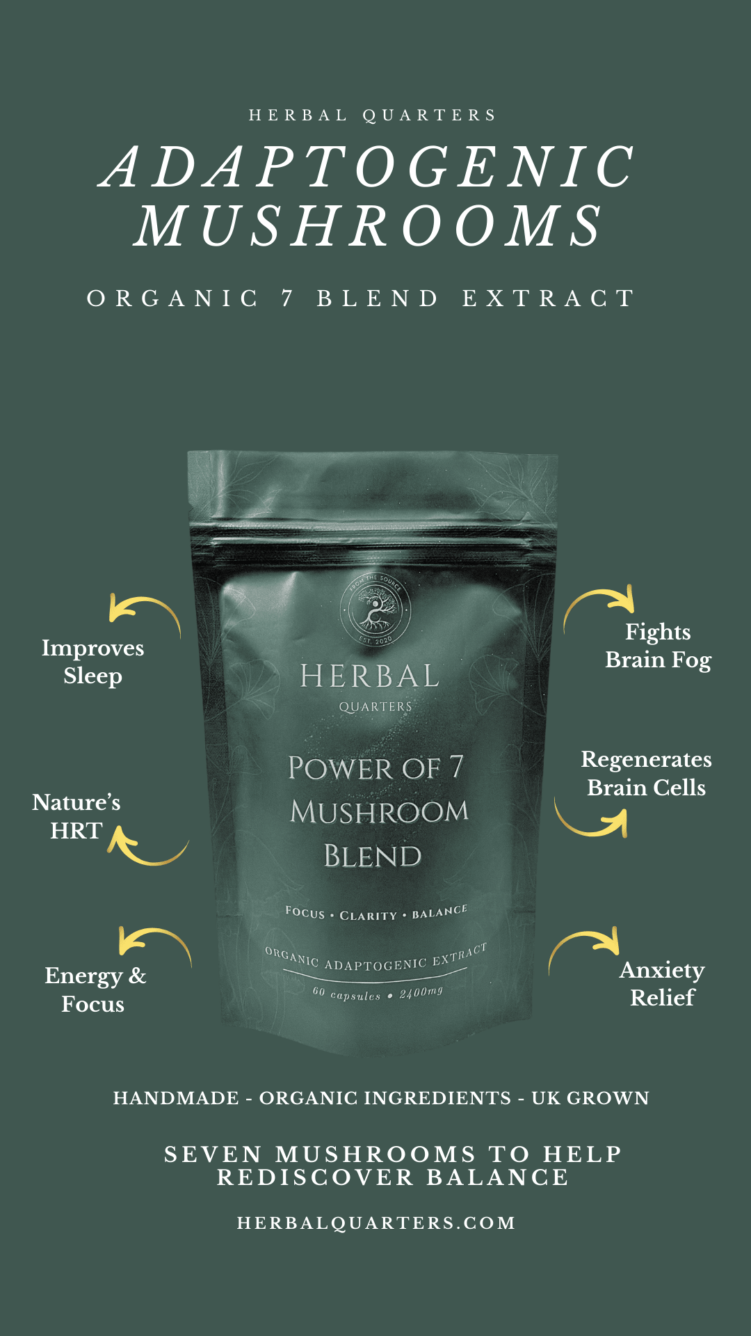 Lions Mane: Blend Of 7 Adaptogenic Mushrooms (60 Capsules) - Image 3