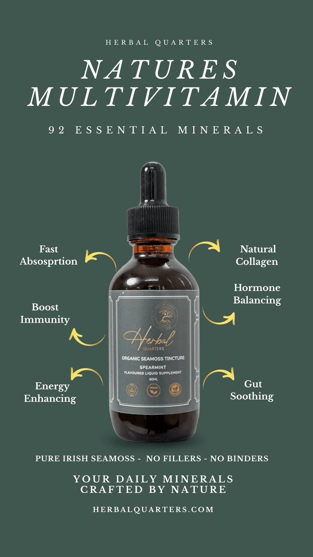 Seamoss Tincture - Spearmint - Image 4
